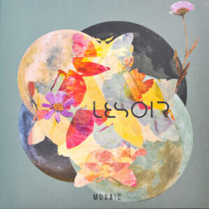 Vinyl Album Mosaic von Lesoir