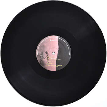 LP Album "Home" by The Gathering. LP B