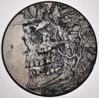 Album "The Plaque Within" by Paradise Lost. LP B