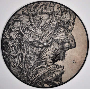 Album "The Plaque Within" by Paradise Lost. LP C