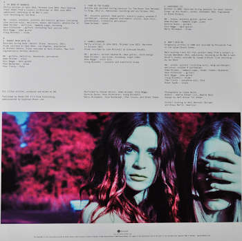 Vinyl, Album "4 1/2)" by Steven Wilson. LP innercover B