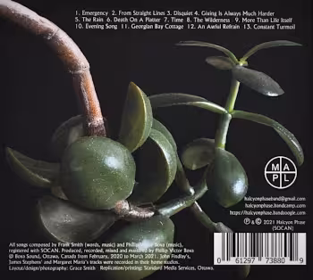 CD Album "Tendrils" by Halcyon Phase. Backcover