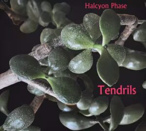 CD Album "Tendrils" by Halcyon Phase. Frontcover